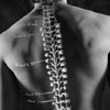spine injury, spinal injury, accident, personal injury, auto accident, car accident, trucking accident, fall, work injury, workers' compensation, social security, product liability
